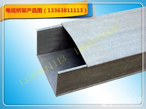 梯式電纜橋架 溫州優(yōu)質(zhì)廠家助力電力傳輸穩(wěn)固之選